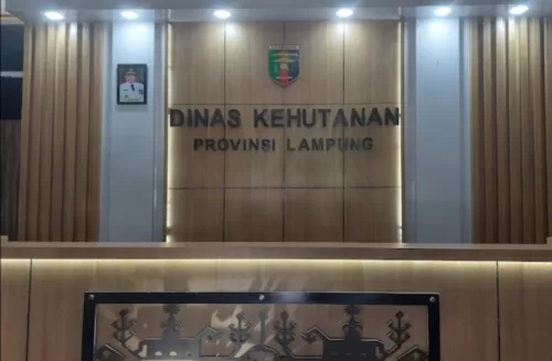 Program RLH Tahun 2023 Milik Dishut Lampung Diduga Gatot